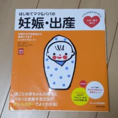 はじめてママ&パパの妊娠・出産 : 妊娠中の不安解消から産後ケアまでこの一冊で…のサムネイル