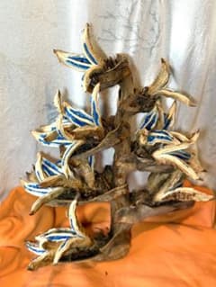 85 旅人の木 7房 特別割引価格 今季物 宮古島産 - メルカリ