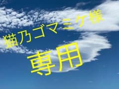 猫乃ゴマミケ様専用です!!!!のサムネイル