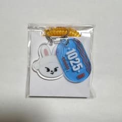 straykids ポップアップ サウナ ランダムサウナキーリング leebitのサムネイル