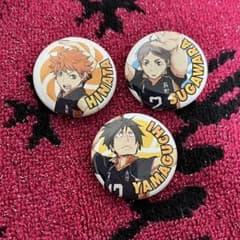 レア ハイキュー 日向翔陽 トレーディング缶バッジ - メルカリ