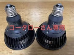 アマテラス AMATERASU LED20W 2個のサムネイル