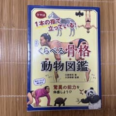 ウマは1本の指で立っている!くらべる骨格 動物図鑑のサムネイル