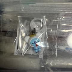 BT21 메지루시 액세서리 엔젤 Koya