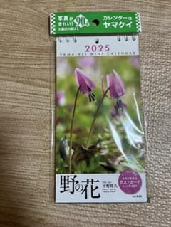 カレンダー2025 野の花のサムネイル