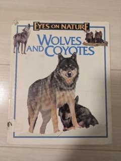 Eyes on Nature: Wolves and Coyotes 洋書のサムネイル
