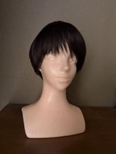 人毛ミックス フルウィッグ ショートゆるカール - メルカリ