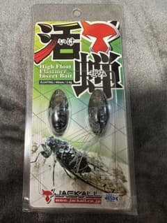 活蝉　いけぜみのサムネイル