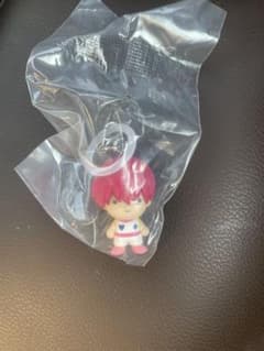 HUNTER × HUNTER 메지루시 액세서리 히소카