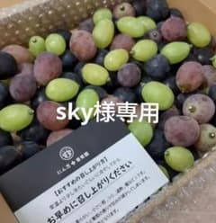 sky様専用　訳あり　忍まる　葡萄　ぶどう　果物　くだもの　にん忍葡萄園のサムネイル