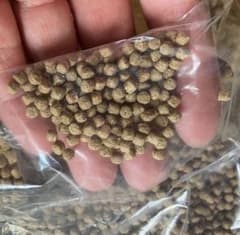 日本農産　煌きら　キラキラ s 800g 3.3ミリ　浮　錦鯉　金魚　らんちゅうのサムネイル