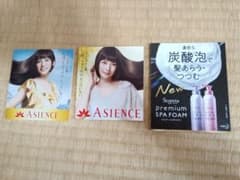 柴咲コウアジエンス2種類とセグレタチラシのサムネイル