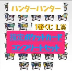 ハンターハンター 一番くじ L賞 指定ポケットカード ✽ 14袋セット ハンターハンター 一番くじ 1番くじ 指定ポケット L賞 コンプリート