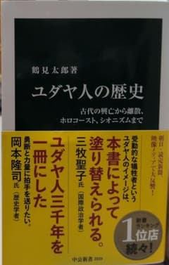 ユダヤ人の歴史 : 古代の興亡から離散、ホロコースト、シオニズムまでのサムネイル