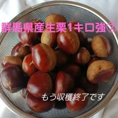 群馬県産生栗1キロ強(36ケ)+予備のサムネイル