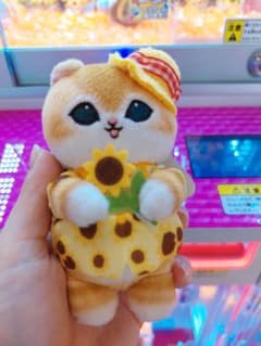 모프샌드 mofusand 해바라기 냥 마스코트 고양이 냥코
