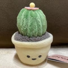 FANS 観葉植物 ミニぬいぐるみ 玉サボテン