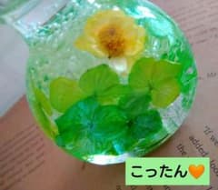 こったん❤のサムネイル