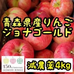青森県産りんご★ジョナゴールド★減農薬栽培のサムネイル