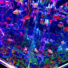 ★HARU★様専用 アルゴン水色ロンTのサムネイル