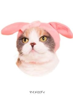 ねこのかぶりもの マイメロディのサムネイル