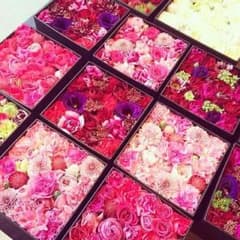 専用！のサムネイル