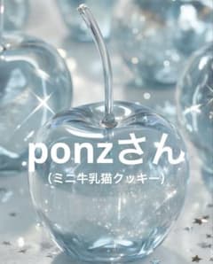 ponzさん 専用のサムネイル
