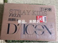 Stray kids   写真集　Dicon   フィリックス　新品未開封のサムネイル