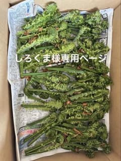しろくま様専用ページのサムネイル