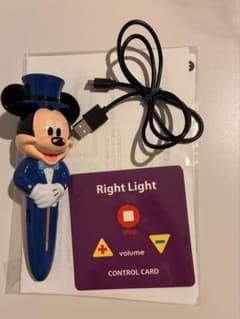 DWE Light-Light Pen (Latest Version) - Tested and Working
