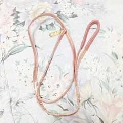 リードと首輪のサムネイル