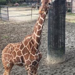 Tan様専用のサムネイル