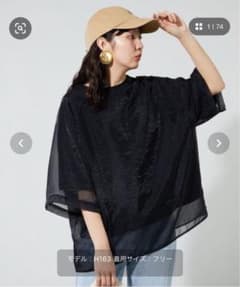 オーガンジー × カットソー 重ね ラグラン 半袖 Tシャツのサムネイル