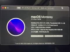 MacBook Pro 13インチ 2019 8GB 1.4GHzのサムネイル