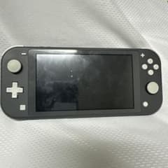Nintendo Switch Lite グレー 本体 - メルカリ