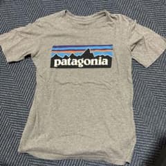 patagonia グレー Tシャツ Sサイズのサムネイル