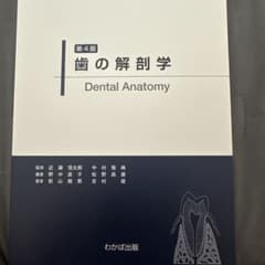 歯の解剖学 Dental Anatomy 第4版のサムネイル
