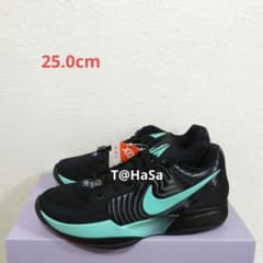 わ*か様 [新品] NIKE JA 2 EP \