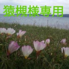 猿槻様専用のサムネイル