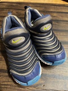NIKE ダイナモフリー 19のサムネイル