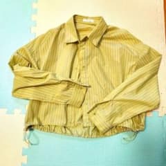クロップド丈シャツ　Te chichi ショート丈 ストライプシャツ グリーン