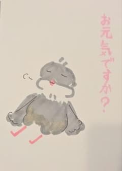 ★文鳥好きが書いた！のんびり文鳥日和シリーズ 「お元気ですか？」のサムネイル