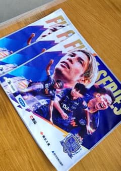 2025 サンフレッチェ広島FINAL SERIES タオル 12枚 サンフレッチェ広島】FINAL SERIES 2025 開催決定！ | 株式会社