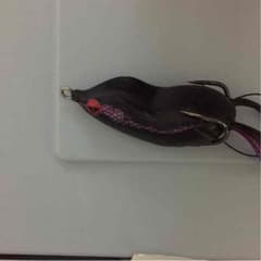 ジャッカルのサムネイル