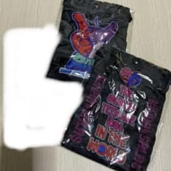 B'z 稲葉浩志　inaba/salas サコッシュのサムネイル