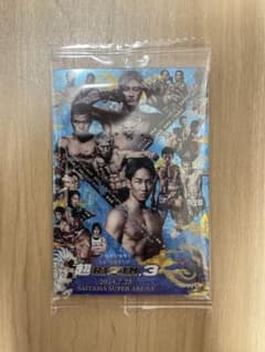 RIZIN 3 シークレット　平本蓮　朝倉未来のサムネイル