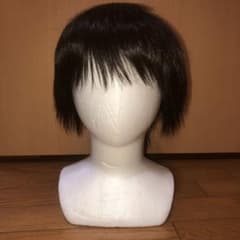 assist ウィッグ ブラウン