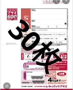 600　30枚 レターパックプラス Amazon 【日本郵便正規品・追跡可能・信頼配送】レターパックプラス | コレクション