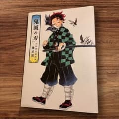 美品 「鬼滅の刃」吾峠呼世晴画集―幾星霜― 集英社 画集・設定資料集のサムネイル
