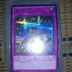 専用のサムネイル